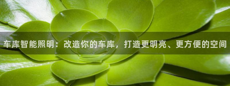 云顶官方下载