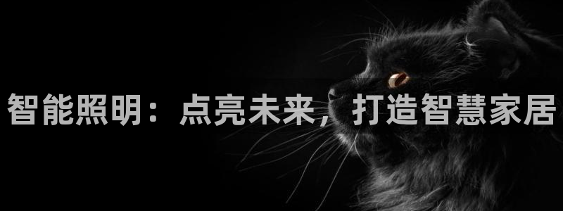云顶集团专属app