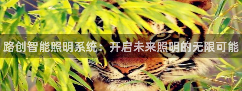 云顶电子游戏平台