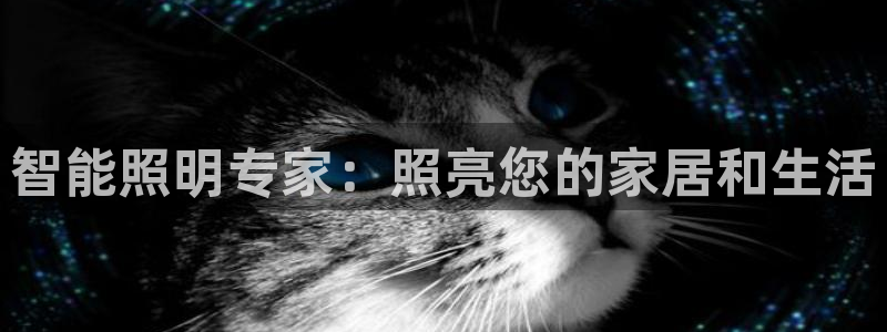 云顶国际服如何调中文