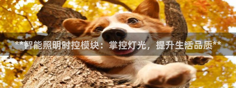 云顶国际高中学费多少钱