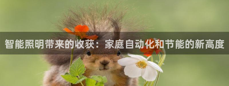 云顶国际停车费多少钱