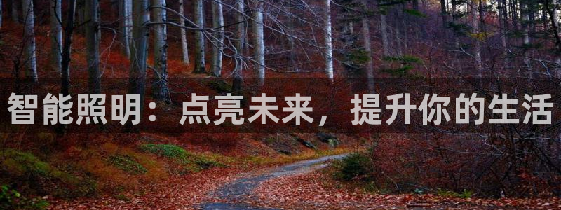 云顶国际商业广场商户