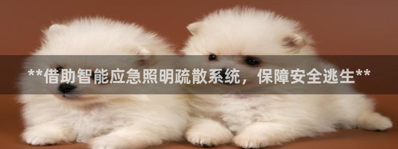 云顶国际官网app下载安装