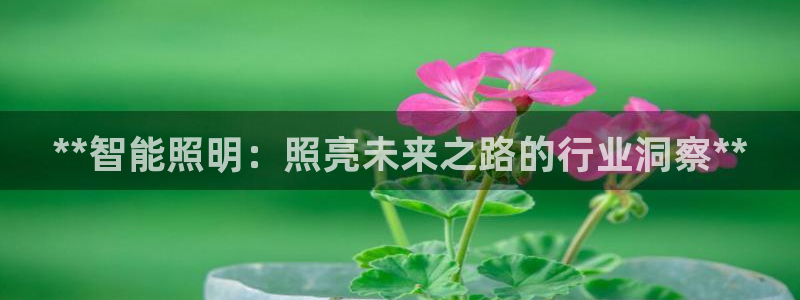 云顶oce