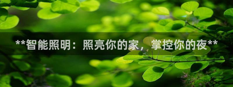 云顶电子游戏网站登录