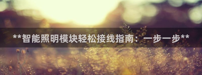 云顶国际钱取不出来了怎么办