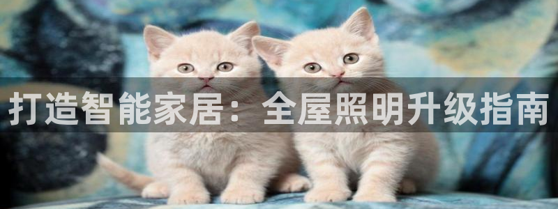 云顶集团3118