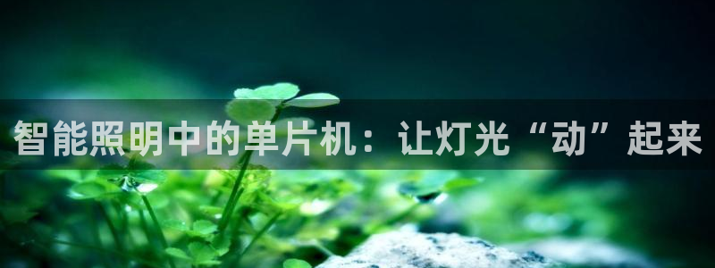 云顶国际在线购彩怎么买