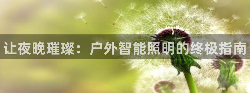 云顶国际官网官方网站