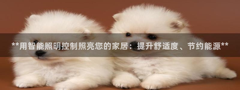 云顶国际是正规游戏吗知乎