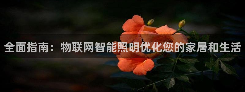 云顶集团招聘