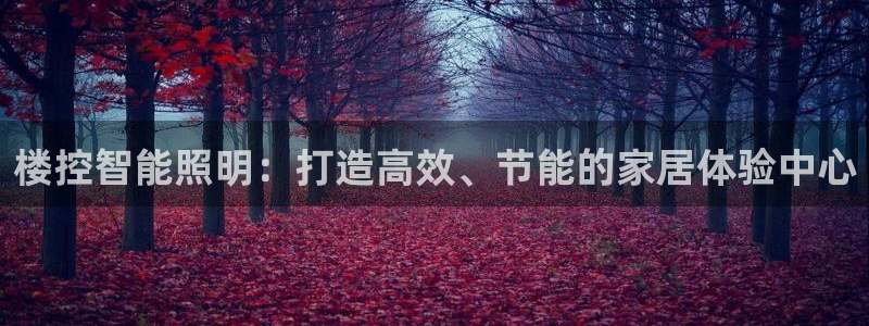 云顶国际大酒店在哪里