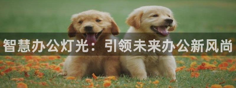 云顶国际真的能取出来吗?