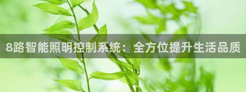 云顶集团网站注册