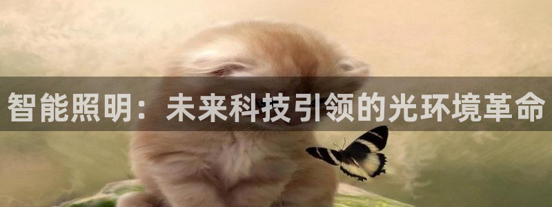 云顶集团游戏app是合法的吗：智能照明：