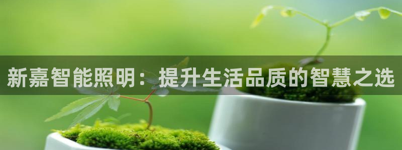 云顶集团游戏app