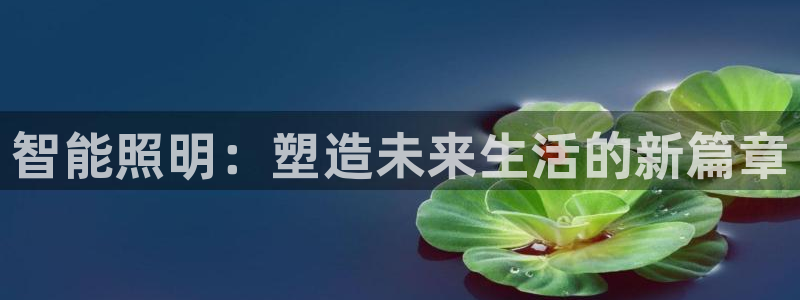 云顶集团公司 英文