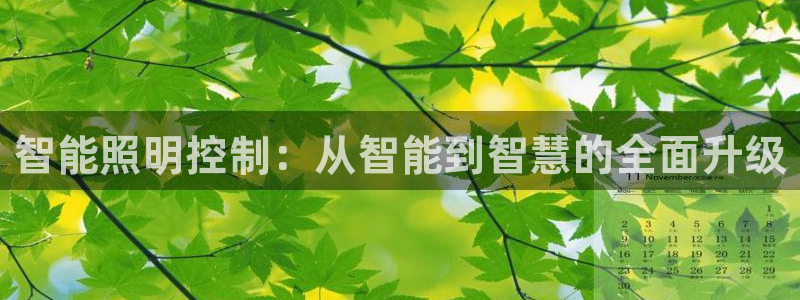 云顶集团有限公司官网