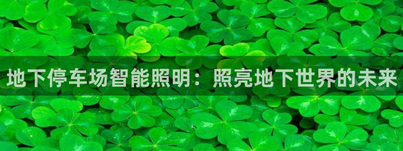 云顶国际平台网址多少