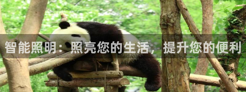 云顶国际平台是真的吗