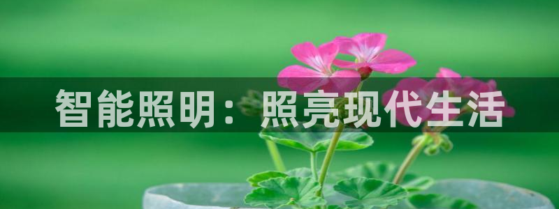 云顶国际房地产有限公司