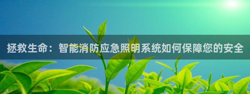 云顶国际app手机版下载