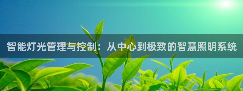 云顶集团简介资料