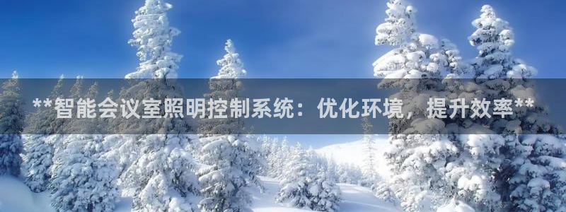 云顶国际投资有限公司怎么样