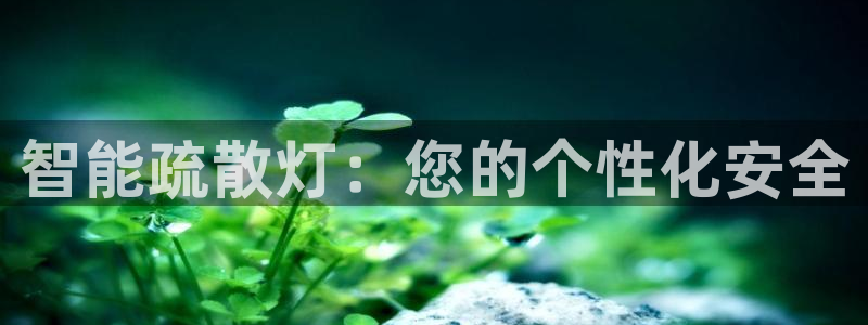 云顶集团简介和历史
