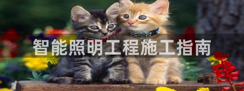 云顶国际会议中心地址