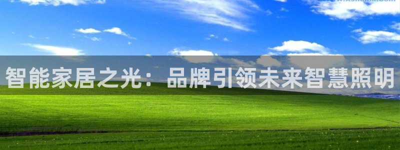 云顶国际麻将胡了多少张牌