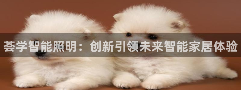 云顶国际下载地址