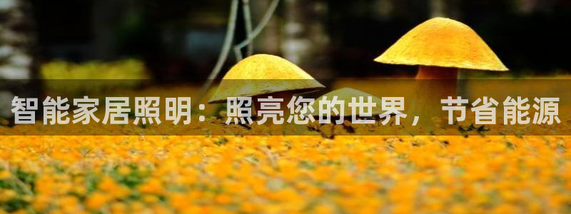 云顶集团app免费下载