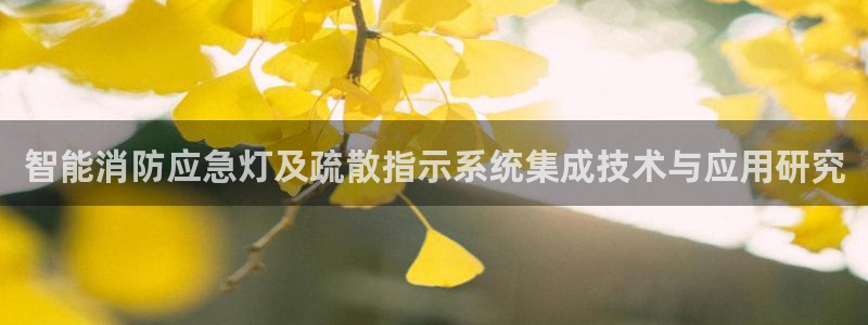 云顶国际的网址是多少