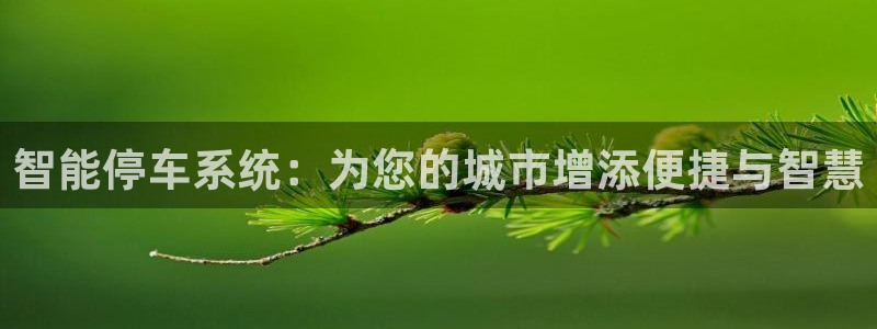 云顶国际服更新时间：智能停车系统：为您的