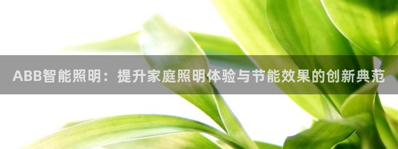 云顶国际足球app下载最新版