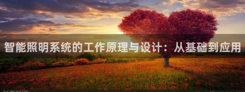 云顶国际APP