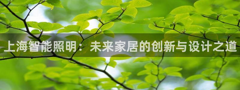 云顶游戏官网网址：上海智能照明：未来家居