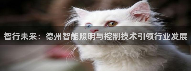 云顶集团游戏app8800
