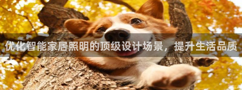 云顶国际服什么时候更新赛季
