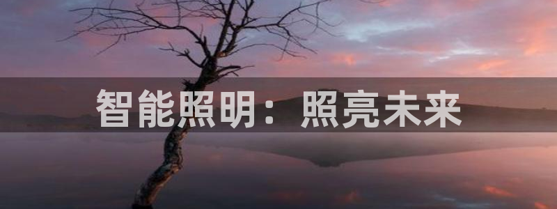 云顶国际官网登录：智能照明：照亮未来