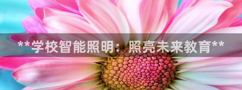 云顶集团市值