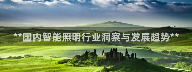 云顶集团在中国有投资吗?