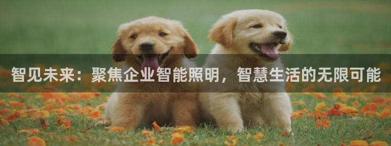 云顶国际服汉化