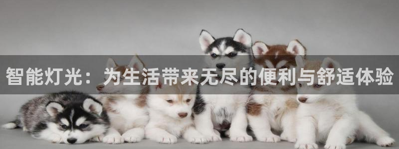 云顶国际商业广场a座101室