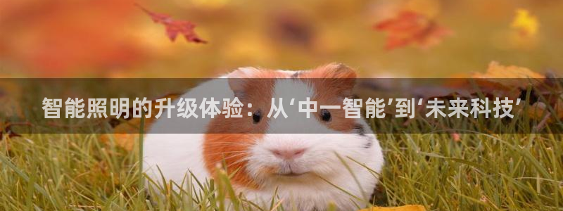 云顶国际集团官网首页